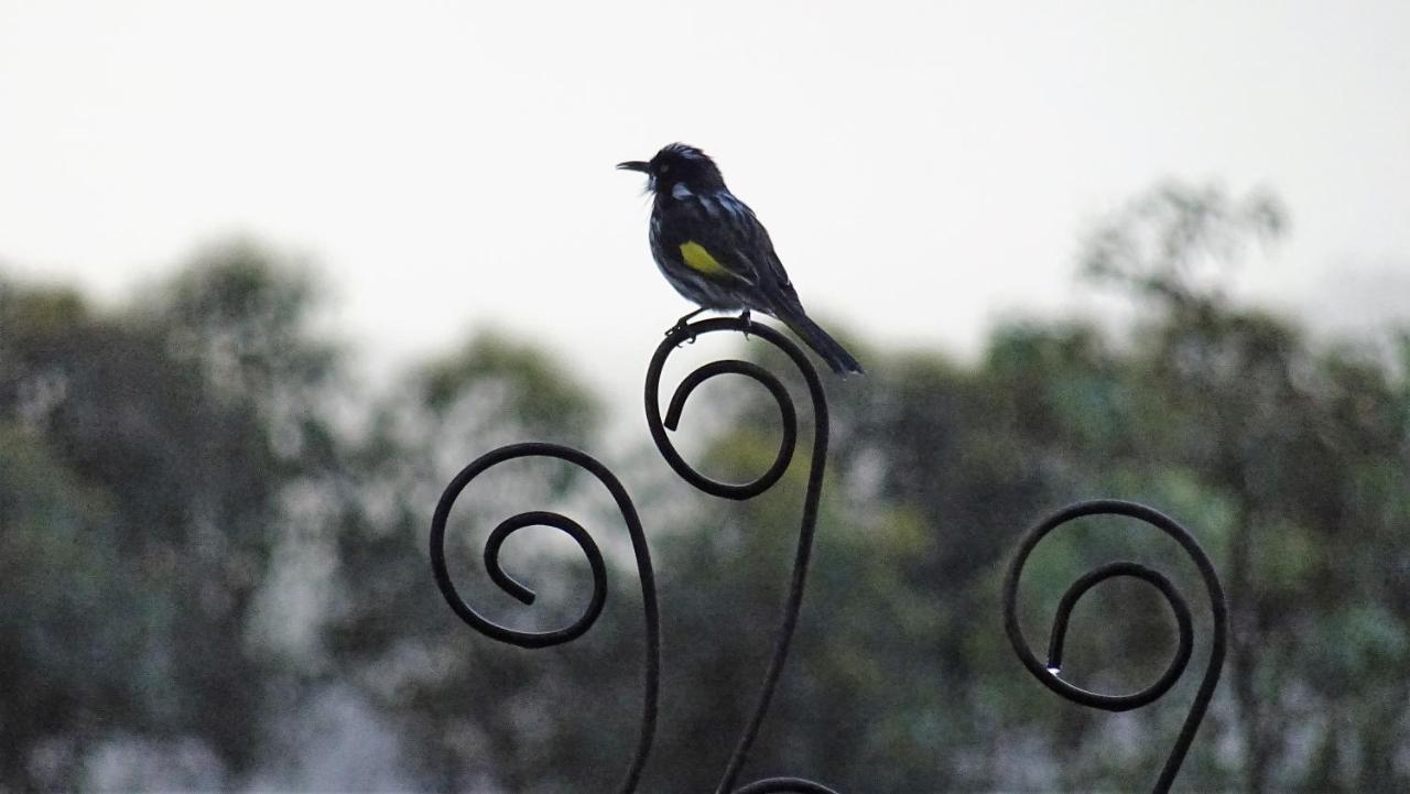 Austiny Bed And Breakfast Victor Harbor Buitenkant foto