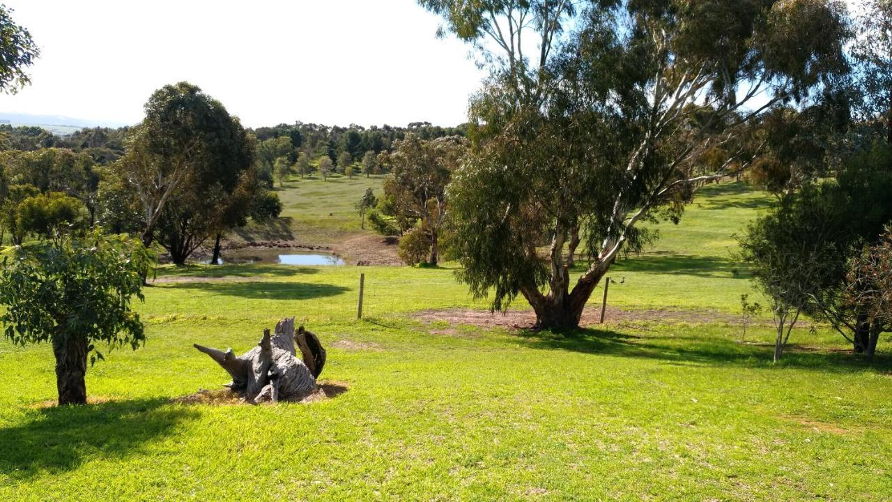 Austiny Bed And Breakfast Victor Harbor Buitenkant foto