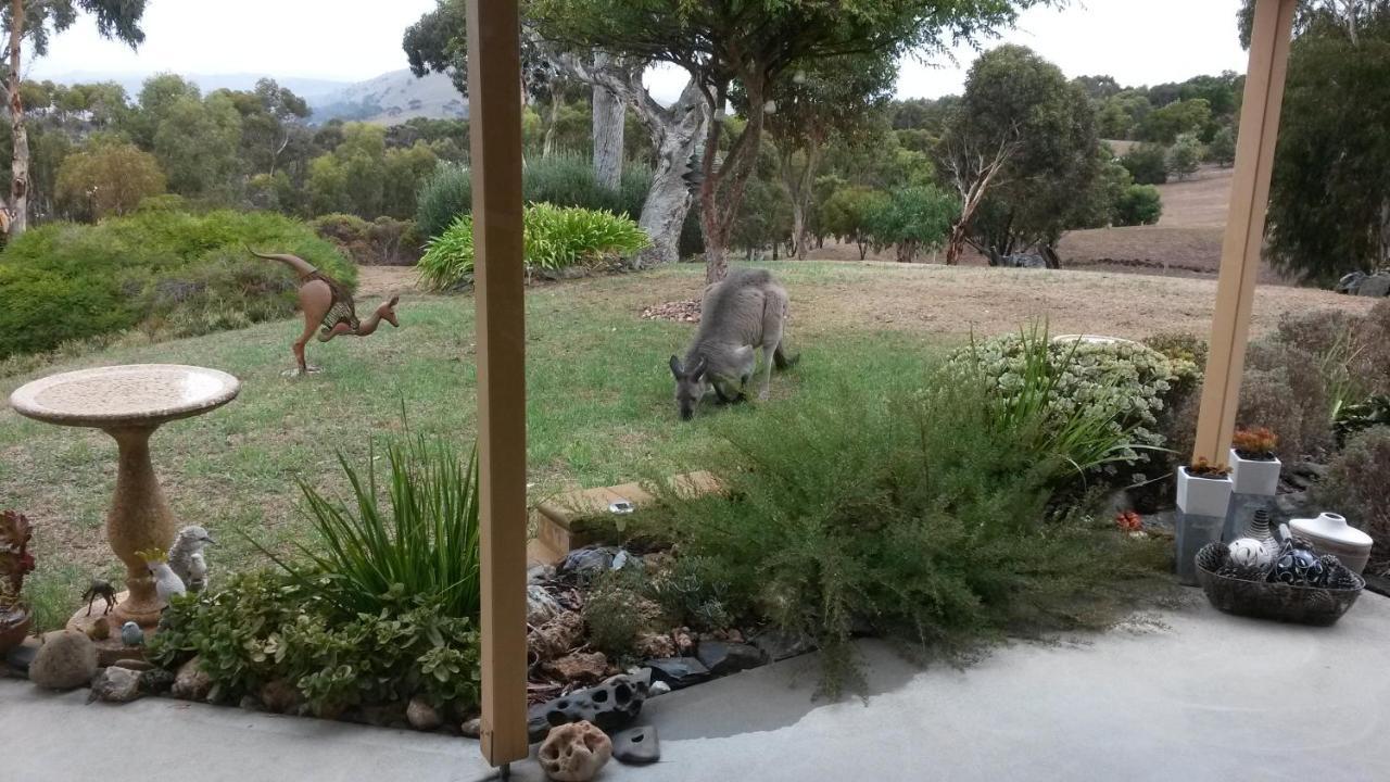 Austiny Bed And Breakfast Victor Harbor Buitenkant foto